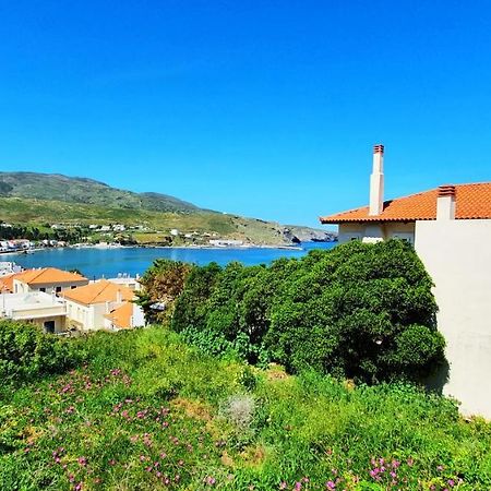 Andros Apartment - Lasia 外观 照片