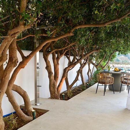 Andros Apartment - Lasia 外观 照片
