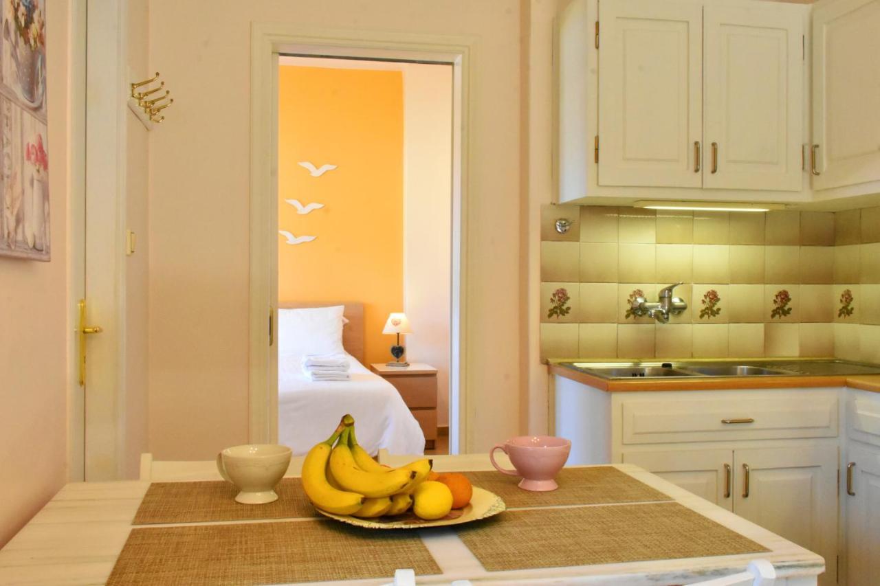 Andros Apartment - Lasia 外观 照片