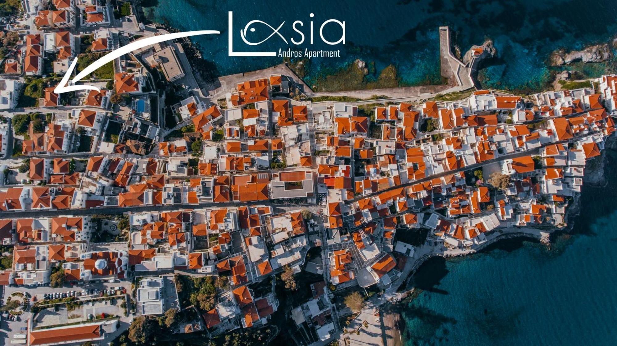 Andros Apartment - Lasia 外观 照片